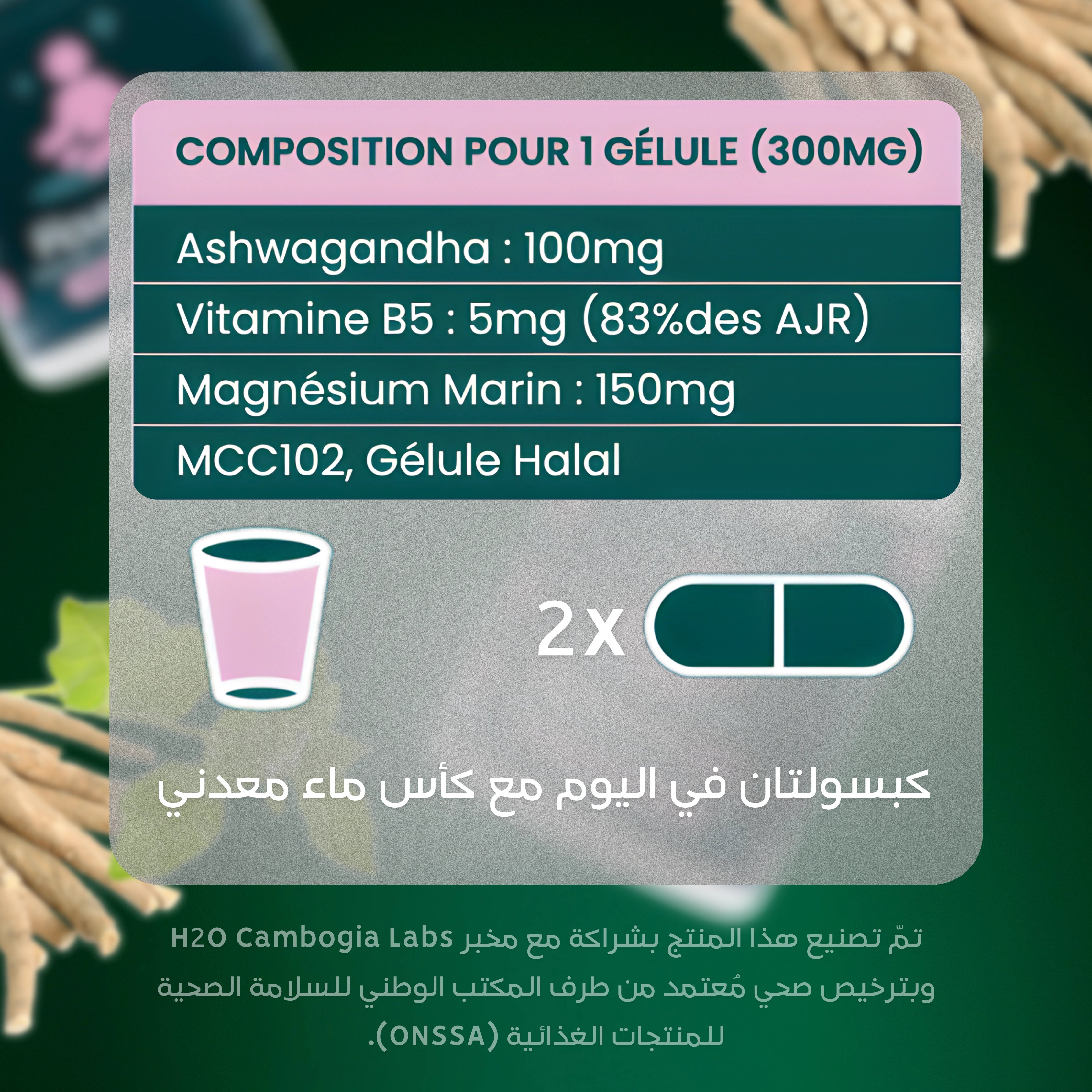 Pack Flourish Compléments